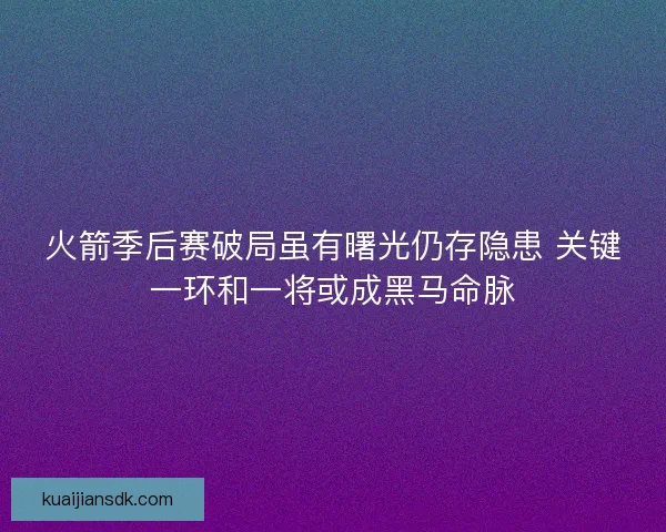 火箭季后赛破局虽有曙光仍存隐患 关键一环和一将或成黑马命脉