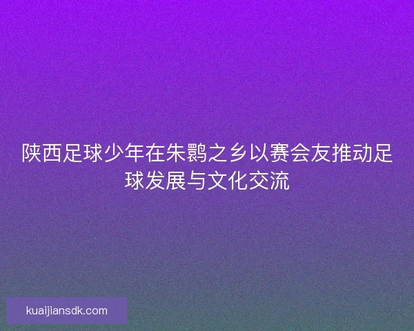 陕西足球少年在朱鹮之乡以赛会友推动足球发展与文化交流